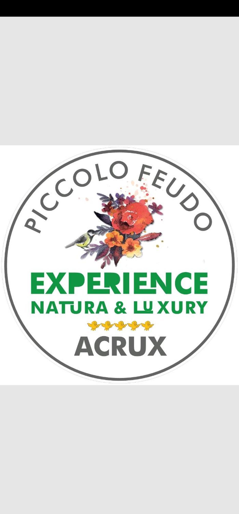 Piccolo Feudo Green Resort (Adults Only) Viterbo Zimmer foto