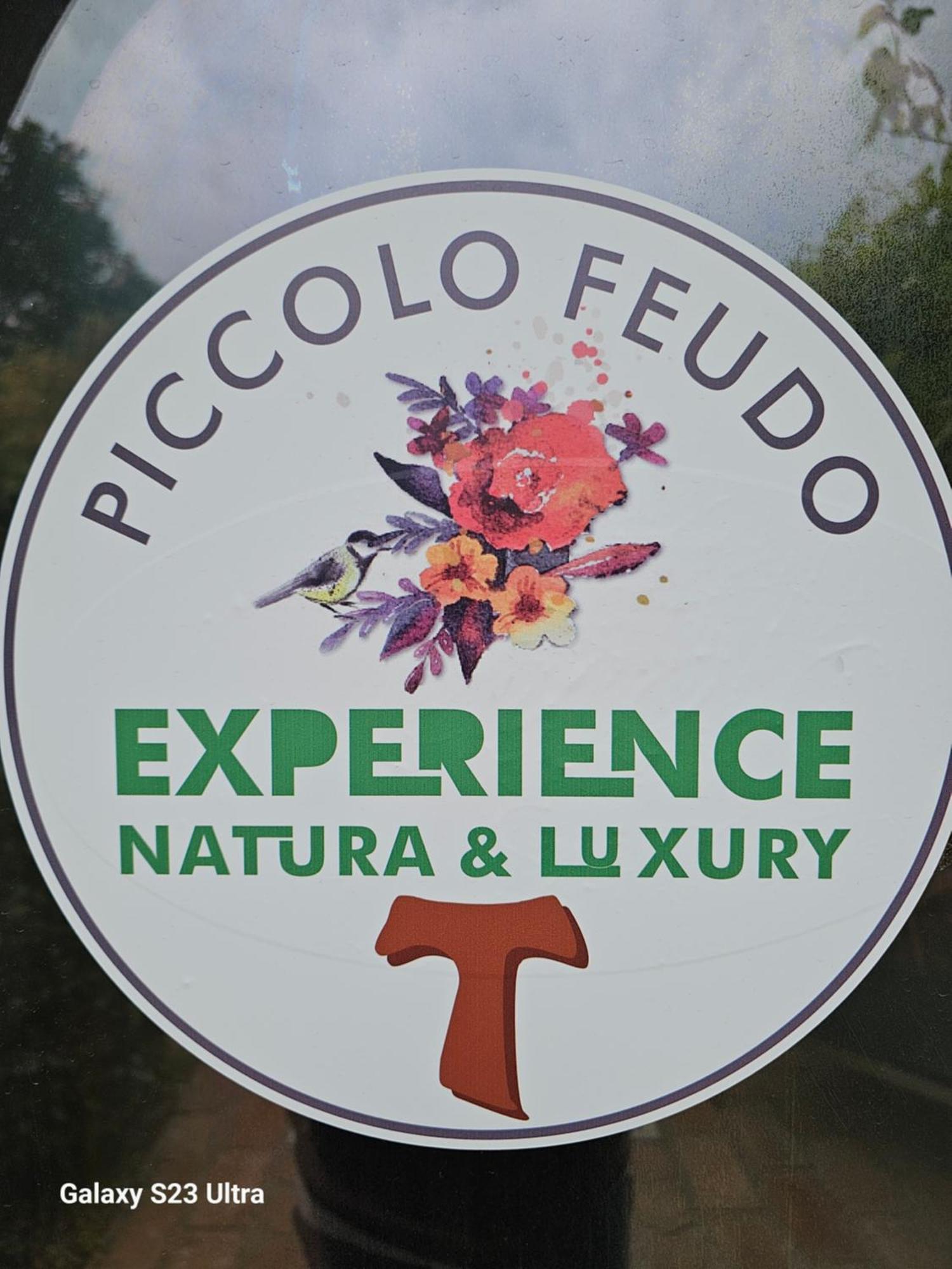 Piccolo Feudo Green Resort (Adults Only) Viterbo Zimmer foto